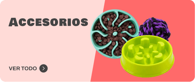 Accesorios perros 1