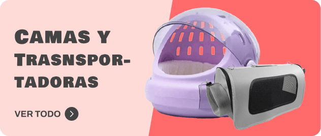 Accesorios Gatos 2