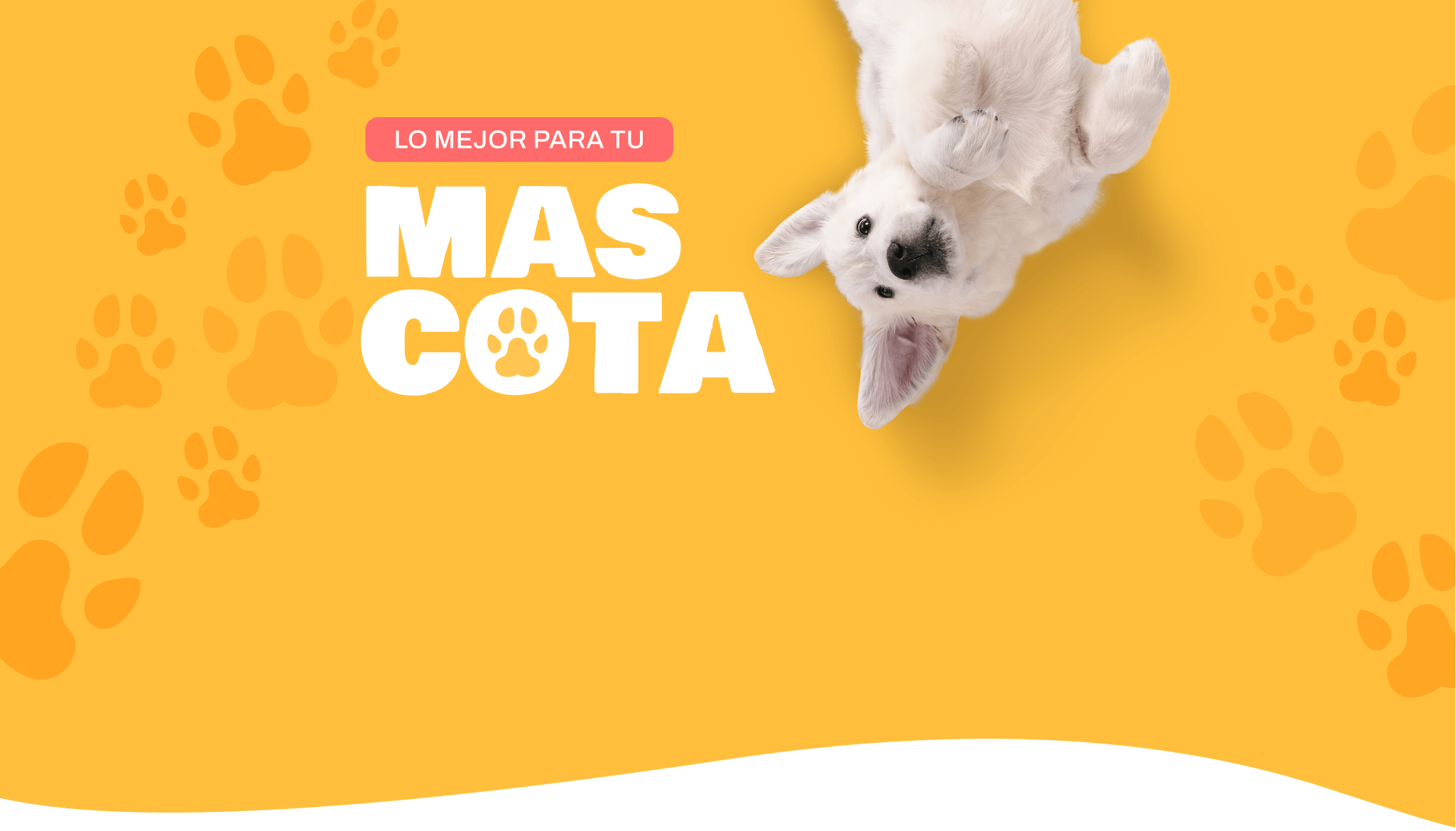 Header landing mascotas