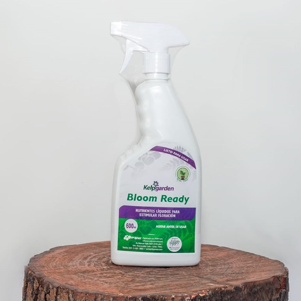 Bloom Ready 600ml