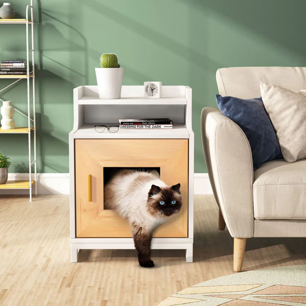 image-cce92b9db8834b86bc0583af3708fb72 image-cce92b9db8834b86bc0583af3708fb72