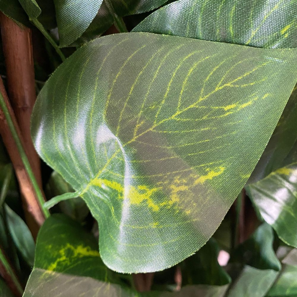 imageUrl_2 imageUrl_2