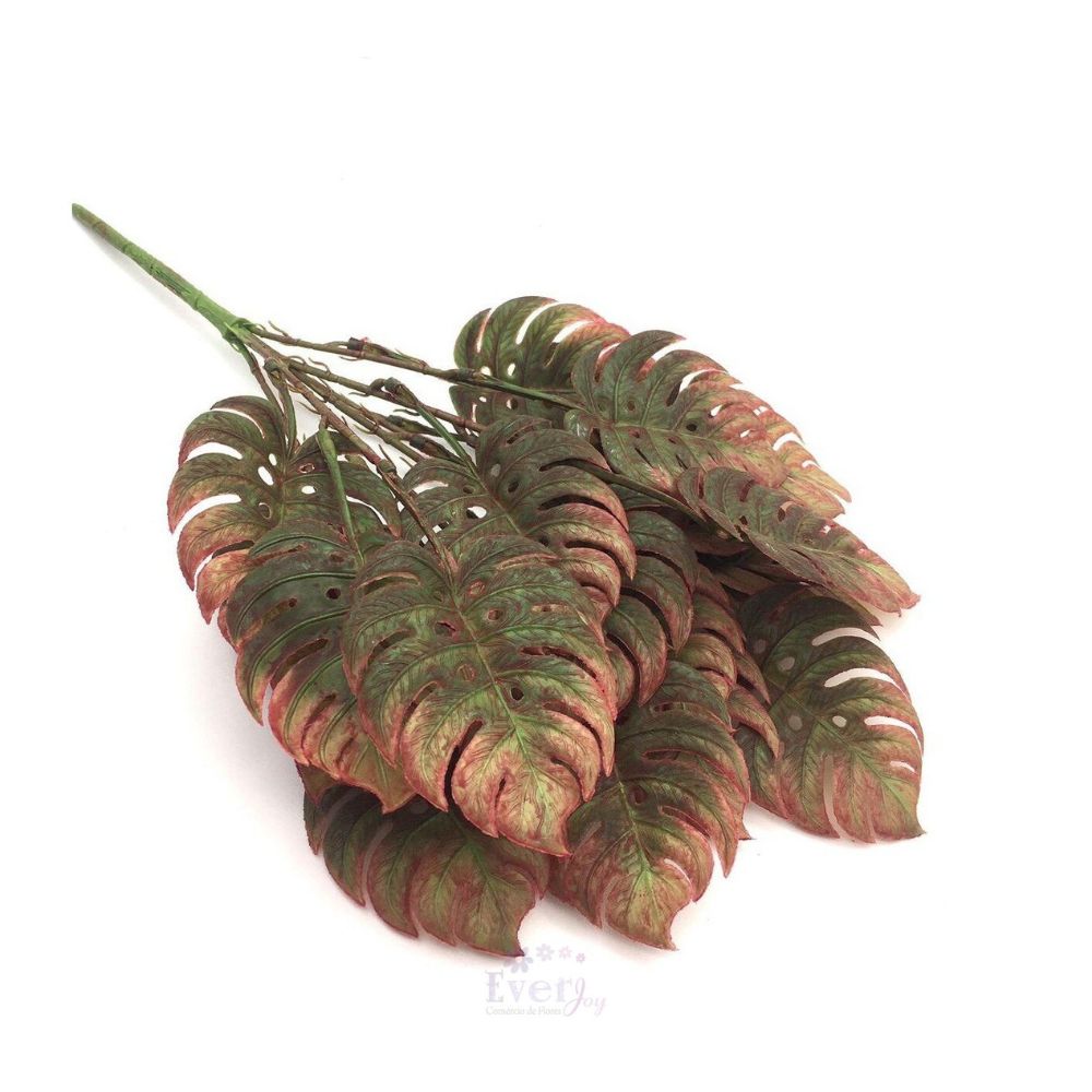 imageUrl_1 imageUrl_1