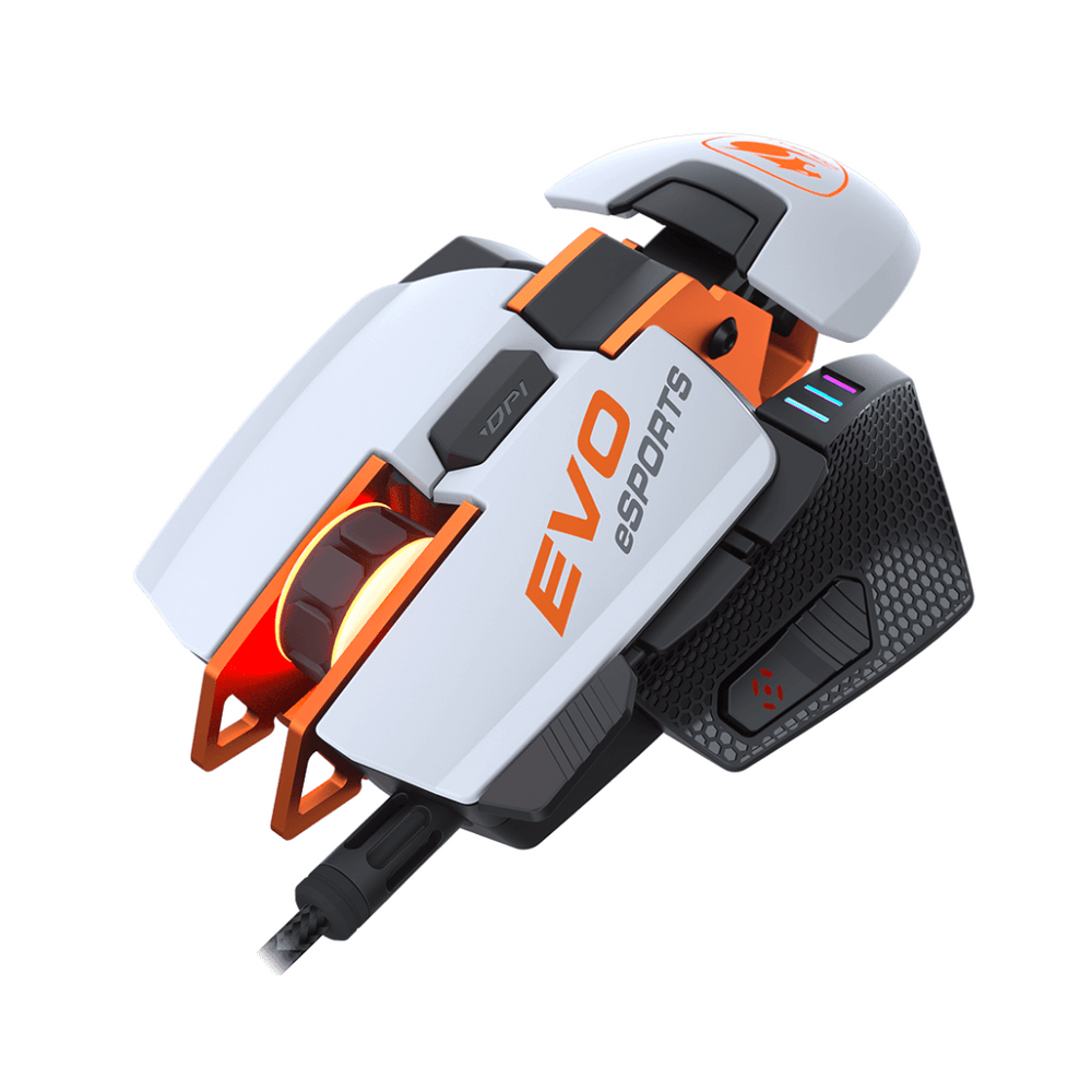 imageUrl_2 imageUrl_2