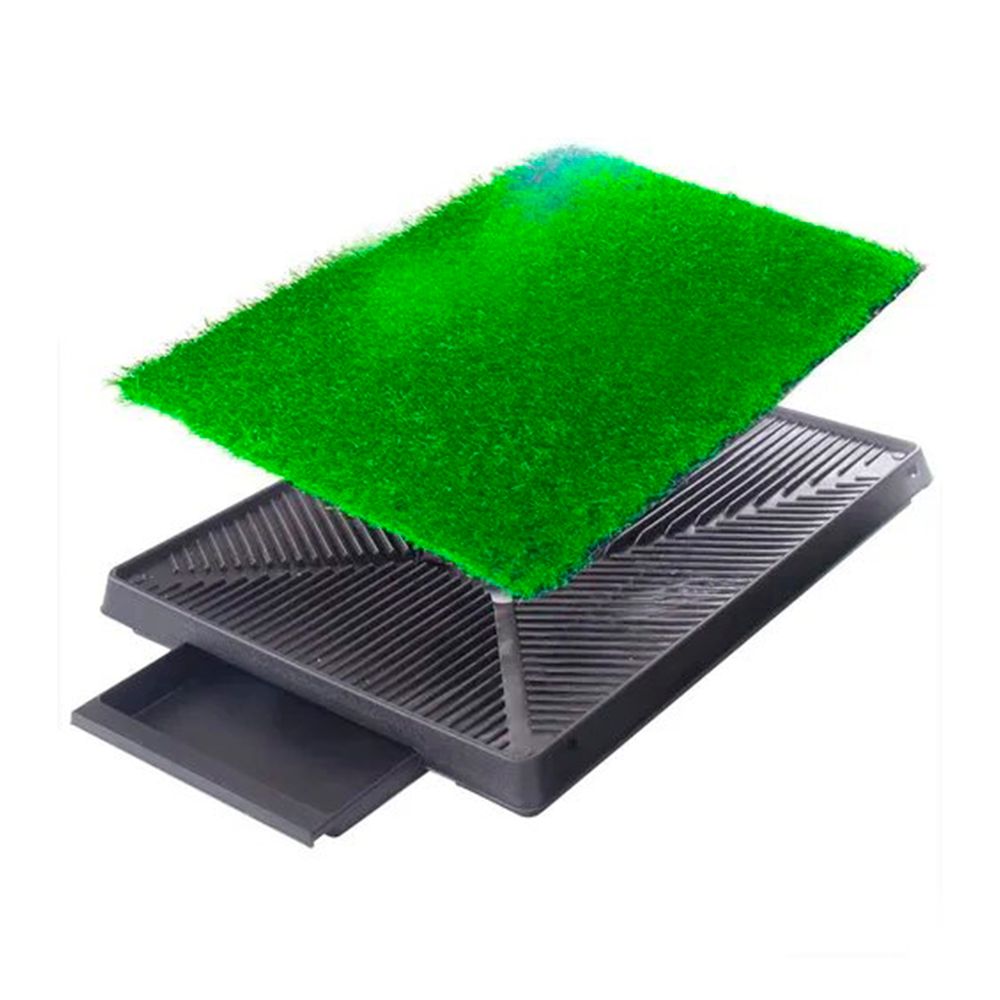 imageUrl_2 imageUrl_2