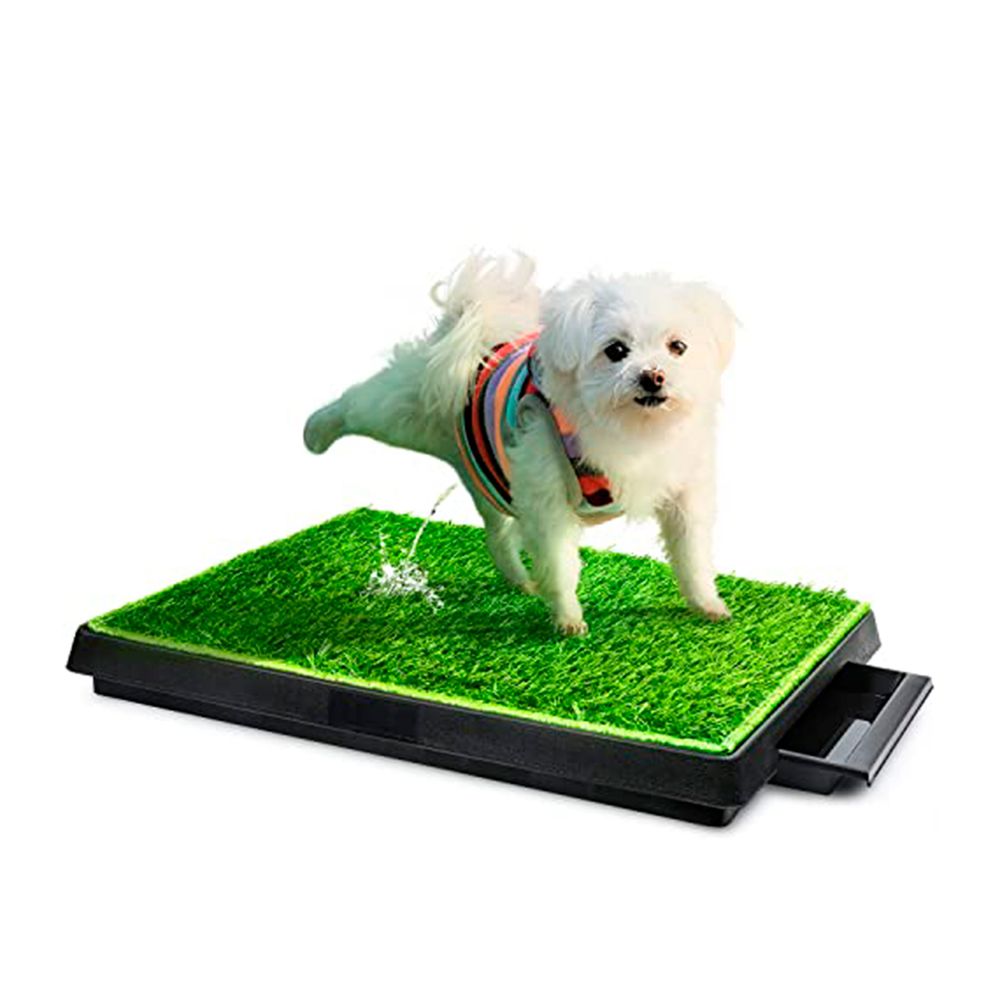 imageUrl_2 imageUrl_2