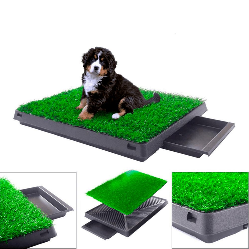 Baño para perros Bandeja urinaria Grande I Oechsle Oechsle