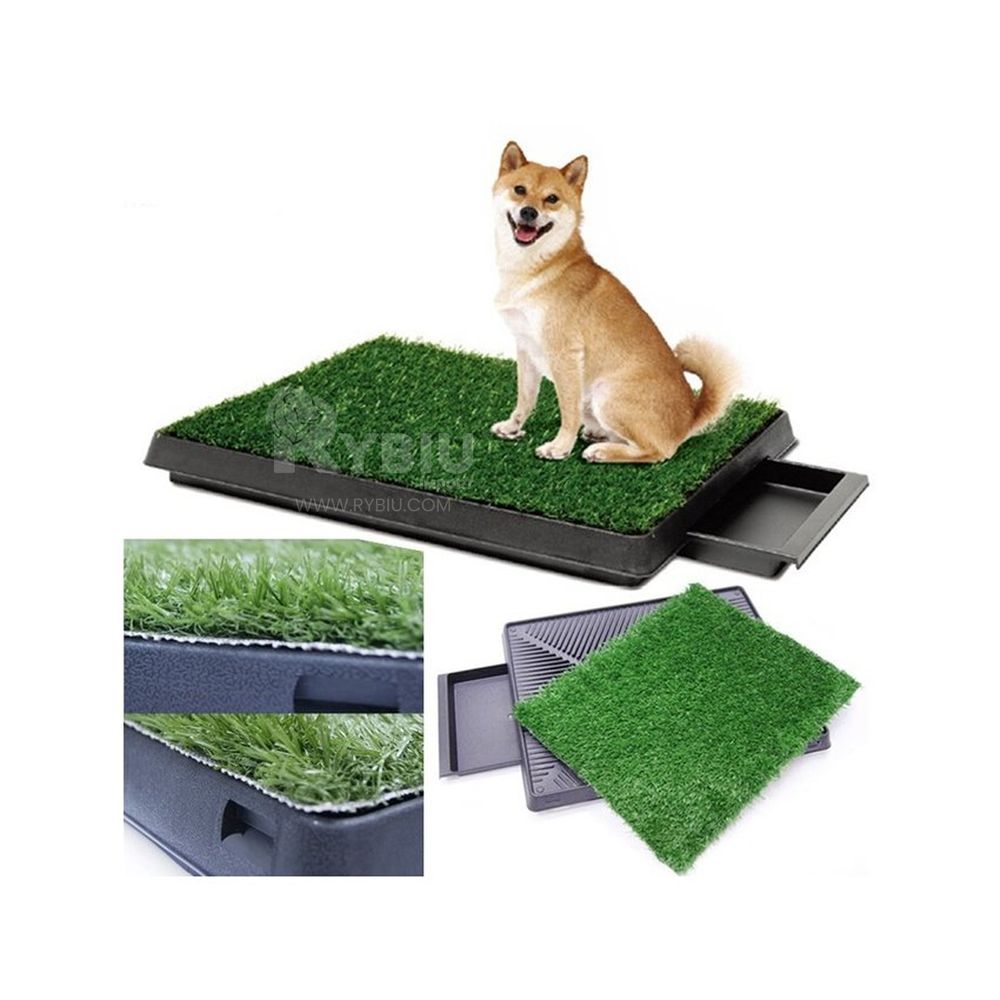 imageUrl_2 imageUrl_2