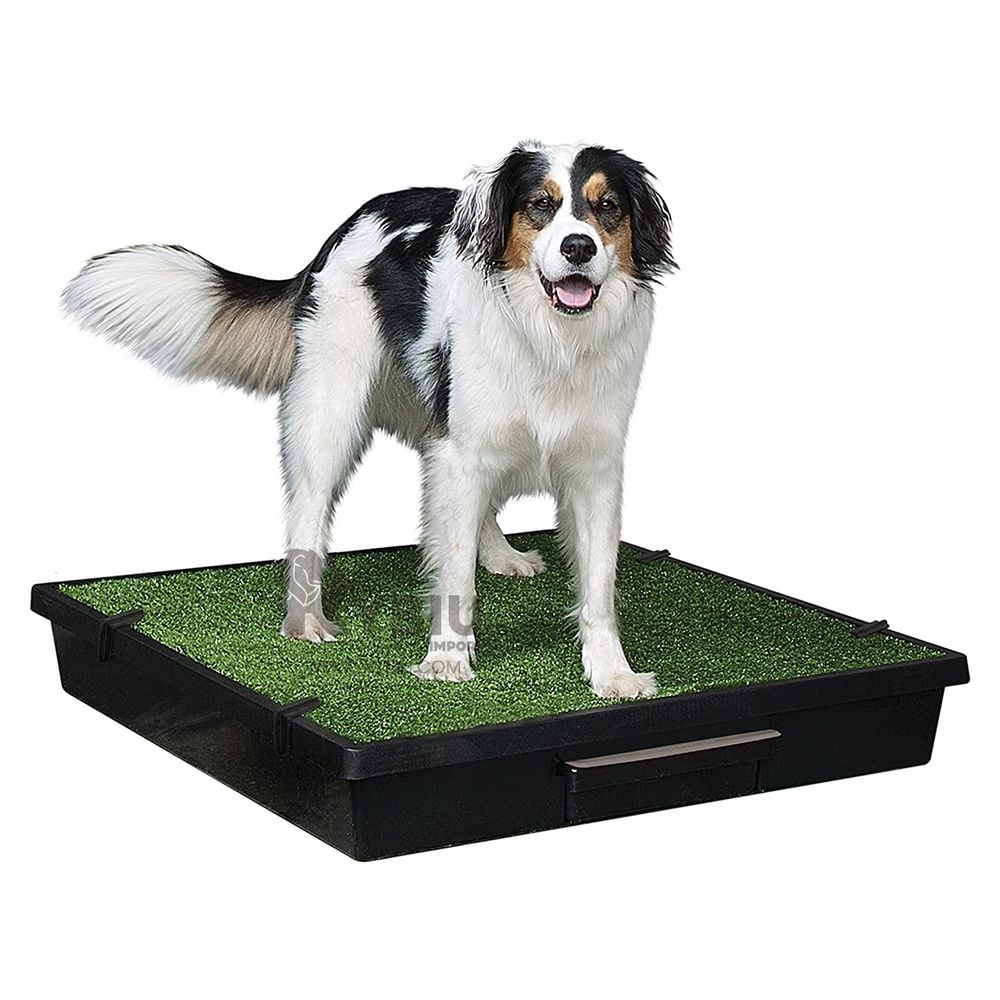 imageUrl_2 imageUrl_2