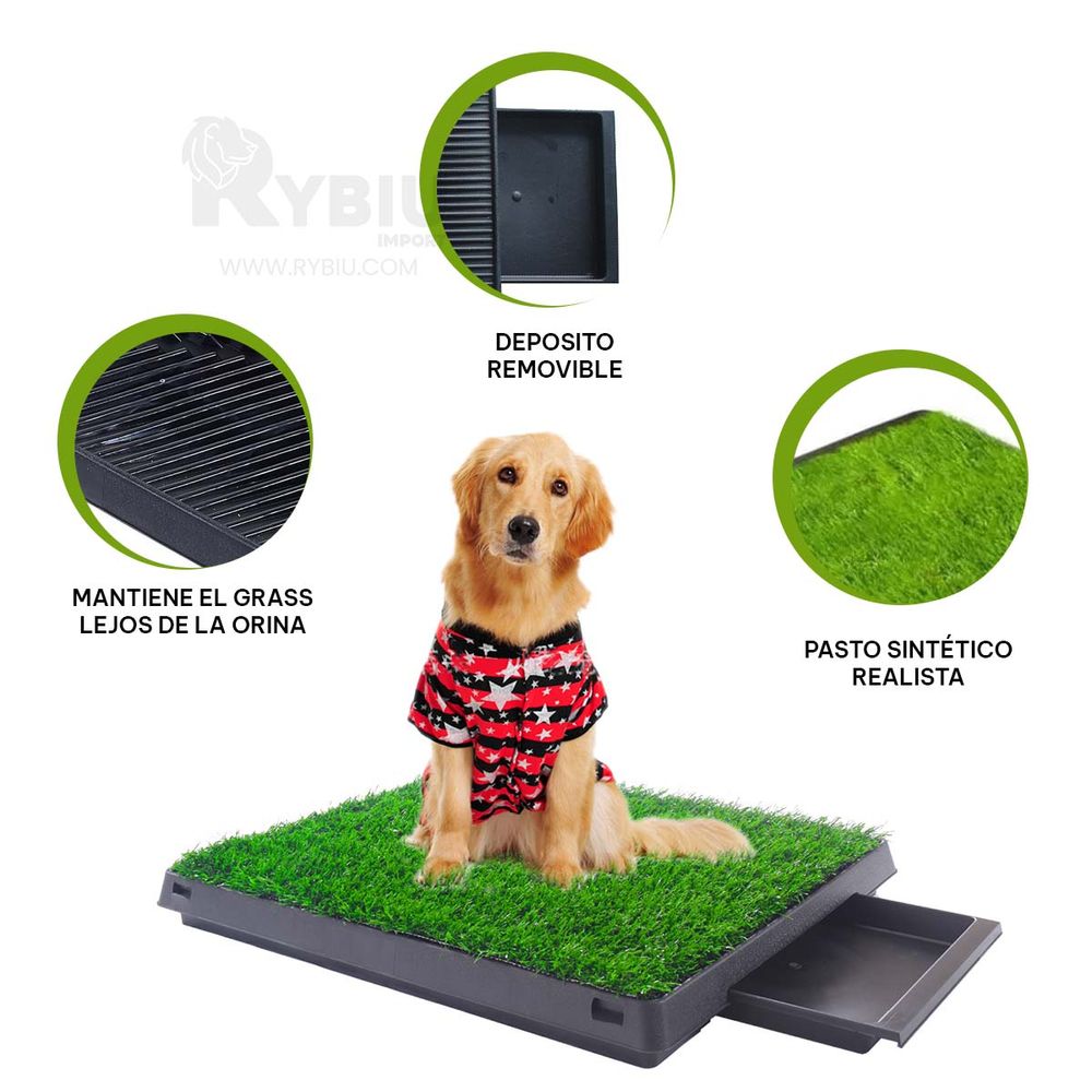 Césped Baño para Mascotas I Oechsle Oechsle