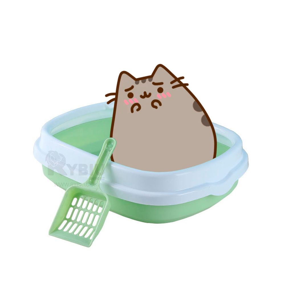 imageUrl_2 imageUrl_2