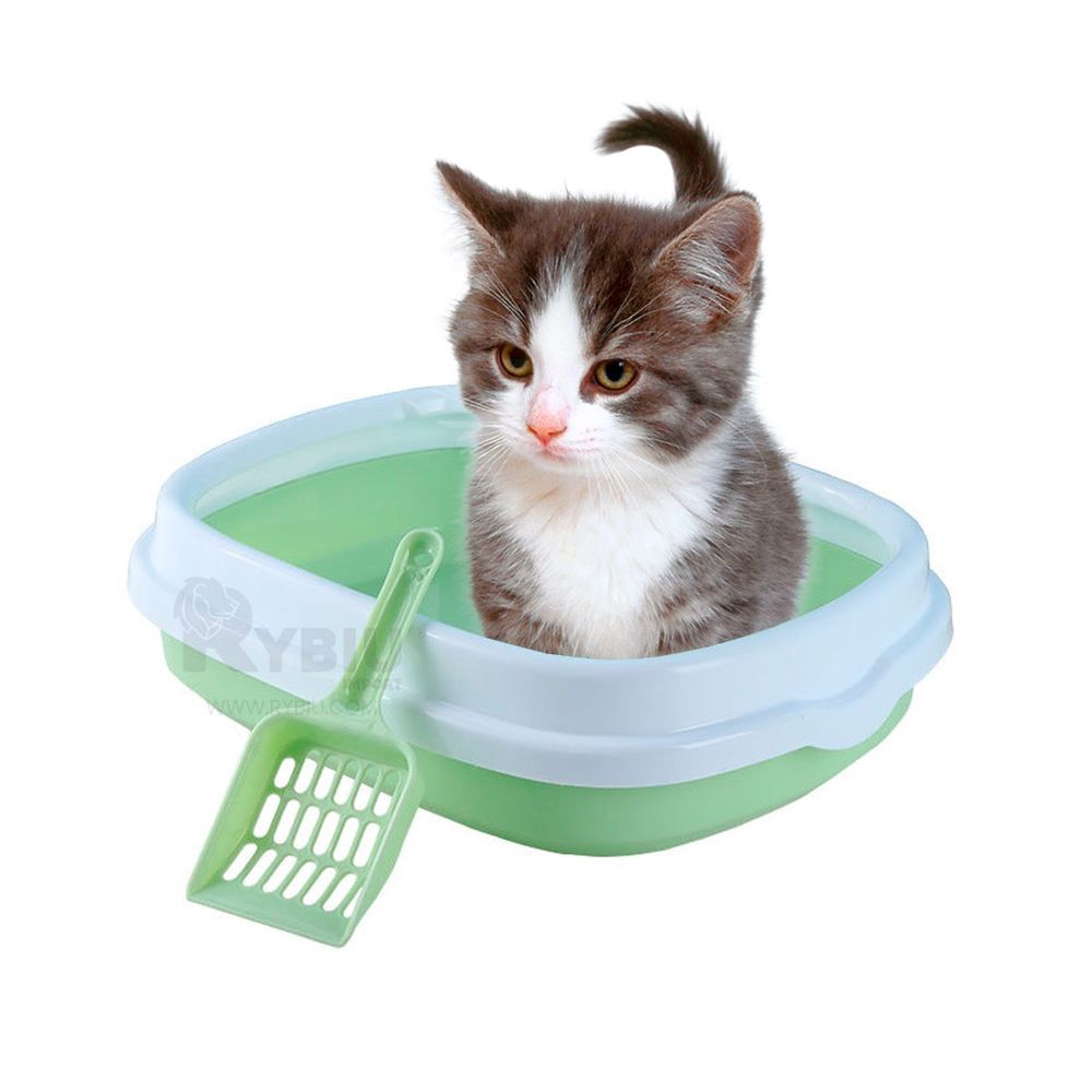 Hacer Que Gato Use Caja De Arena Cómo Construir Un Arenero Casero