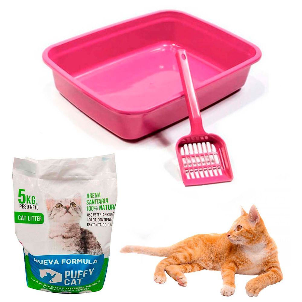 Arena Muñecos Para Gatitos Porque Mi Gato Se Come La Arena