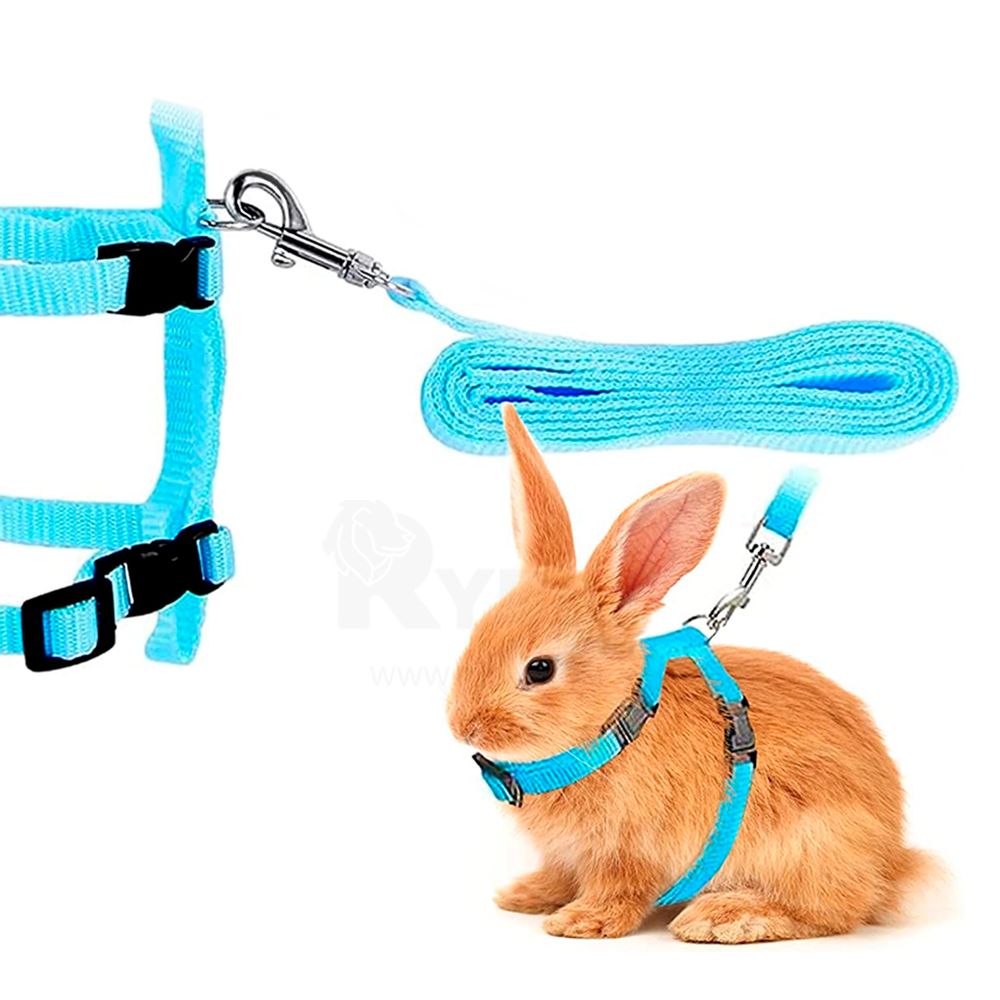 imageUrl_2 imageUrl_2