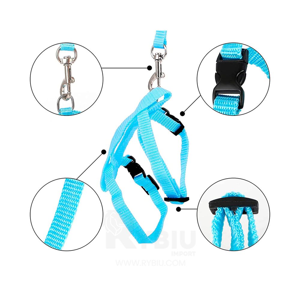 imageUrl_2 imageUrl_2