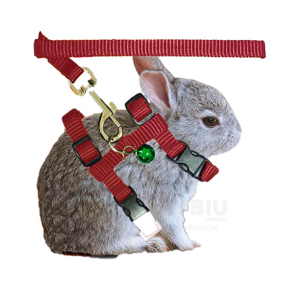 imageUrl_2 imageUrl_2