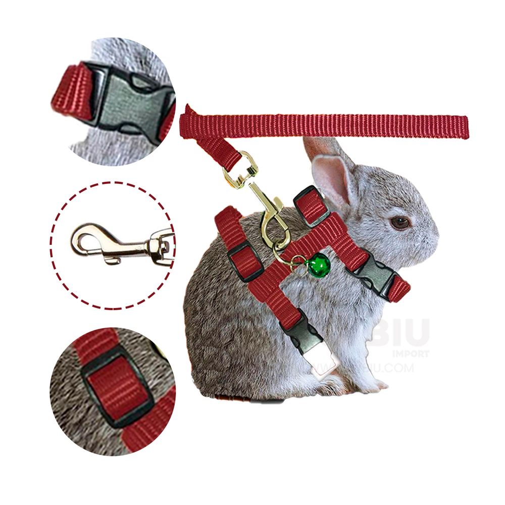 imageUrl_2 imageUrl_2