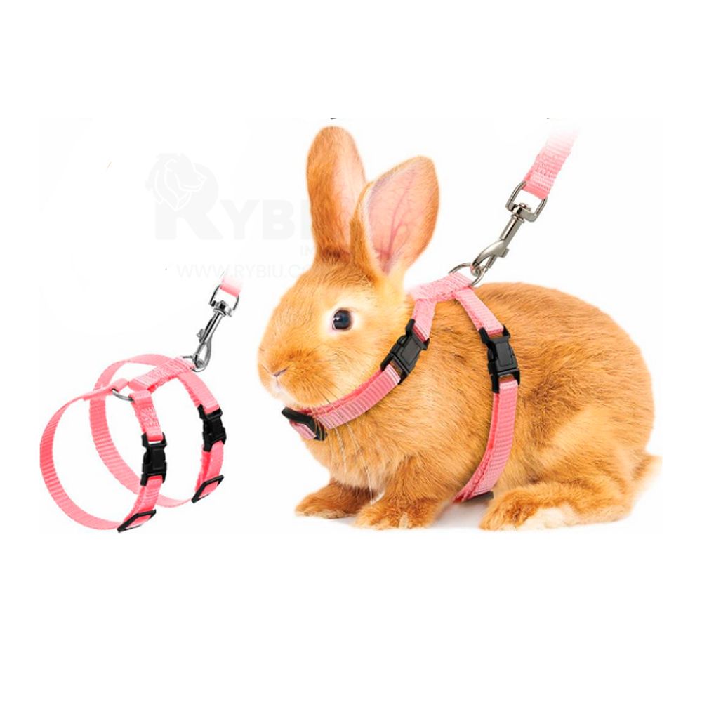 imageUrl_2 imageUrl_2