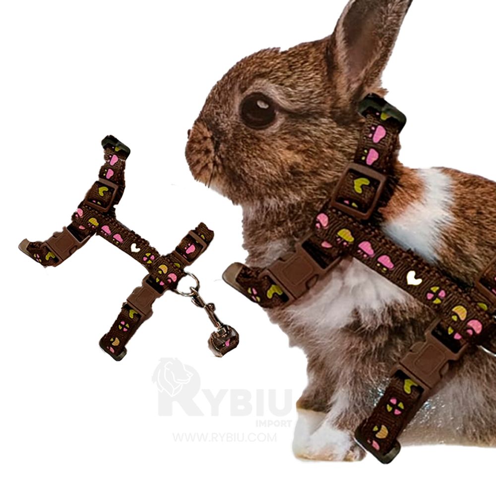 imageUrl_2 imageUrl_2