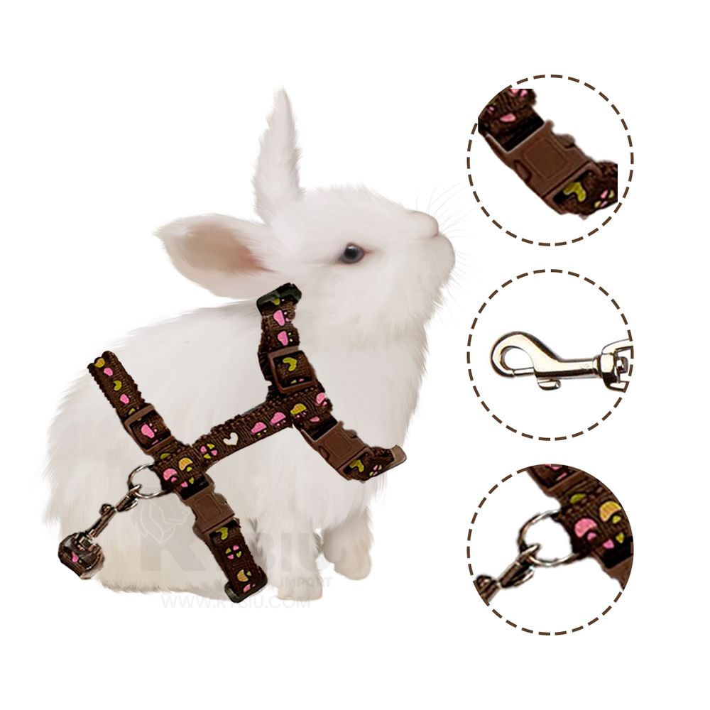 imageUrl_2 imageUrl_2