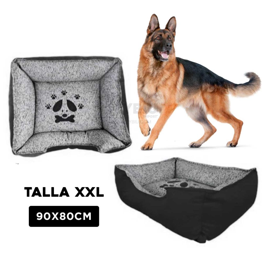 imageUrl_2 imageUrl_2