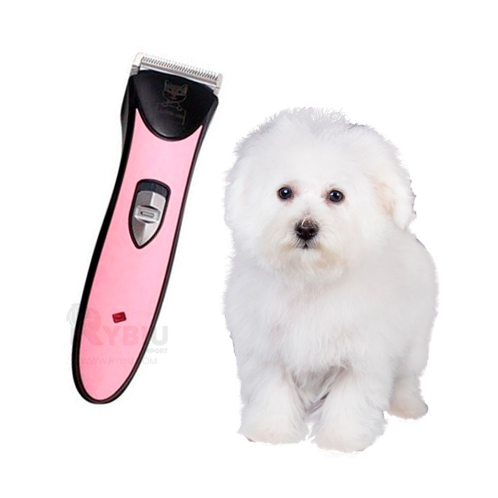 imageUrl_2 imageUrl_2