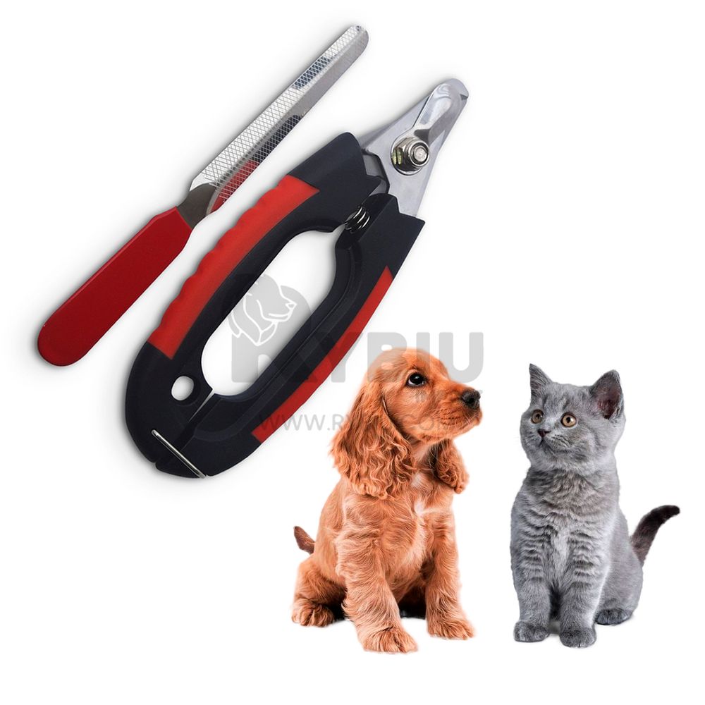 imageUrl_2 imageUrl_2