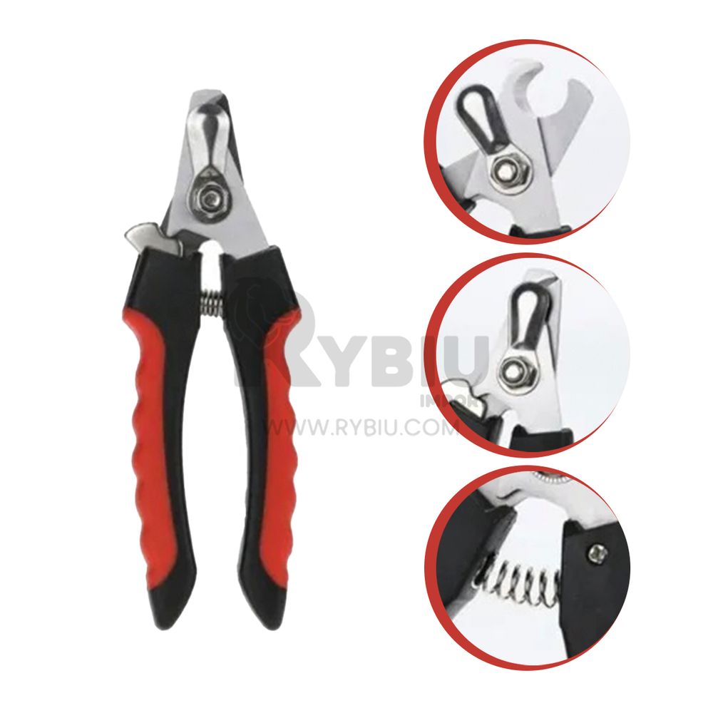 imageUrl_2 imageUrl_2