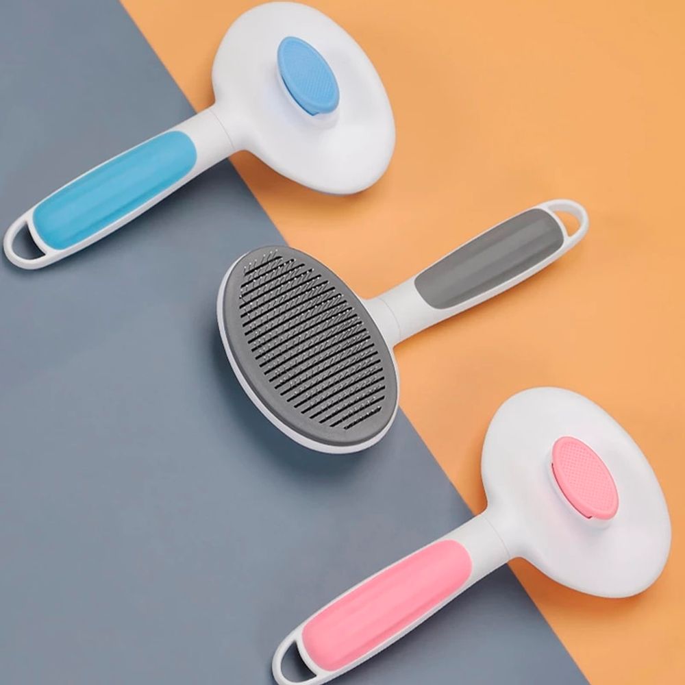 imageUrl_2 imageUrl_2