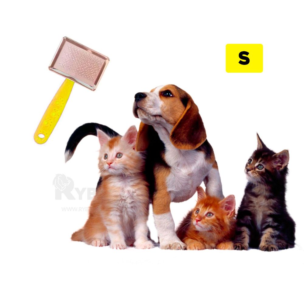 imageUrl_2 imageUrl_2