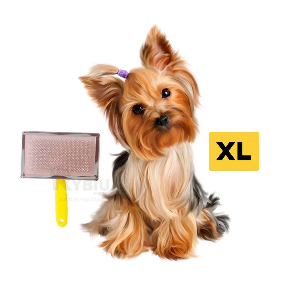 imageUrl_2 imageUrl_2