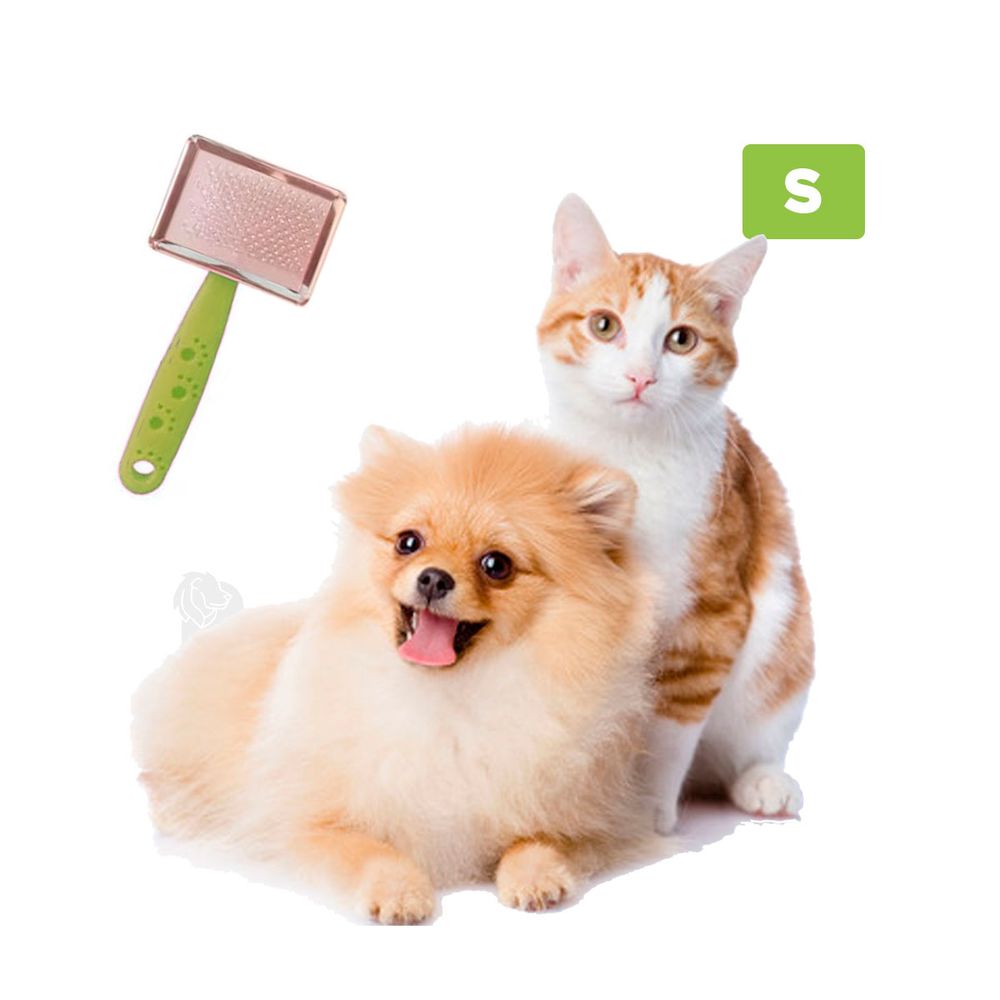 imageUrl_2 imageUrl_2