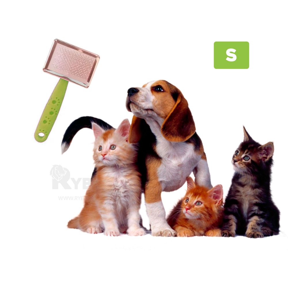 imageUrl_2 imageUrl_2