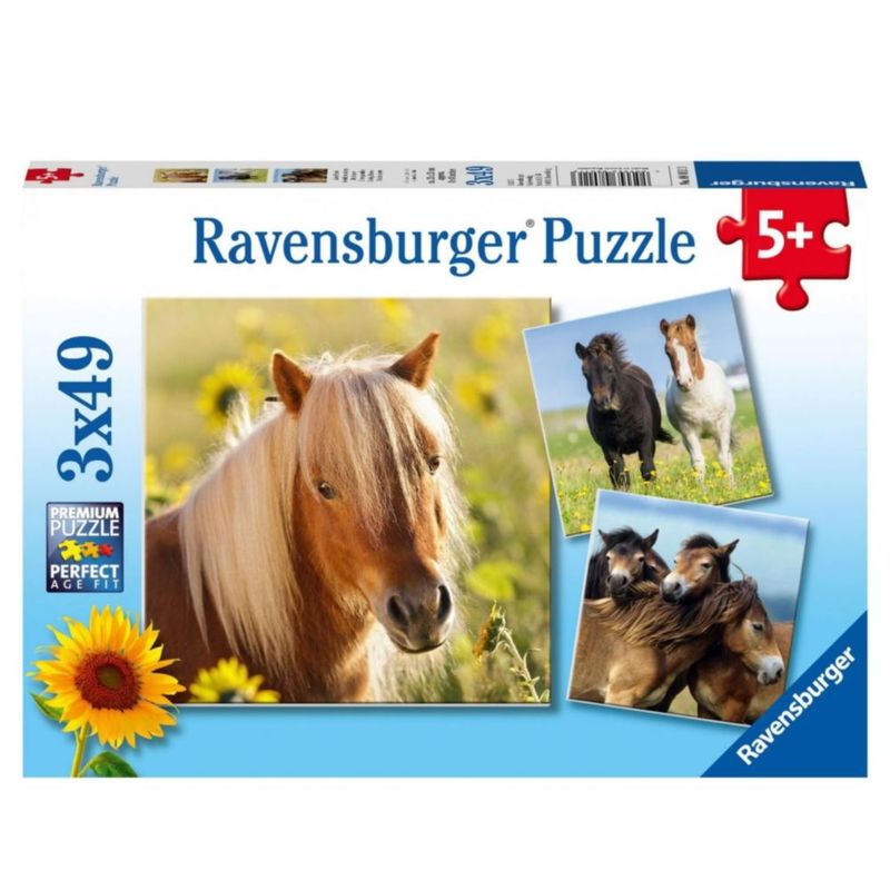 2219397