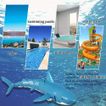 imageUrl_4