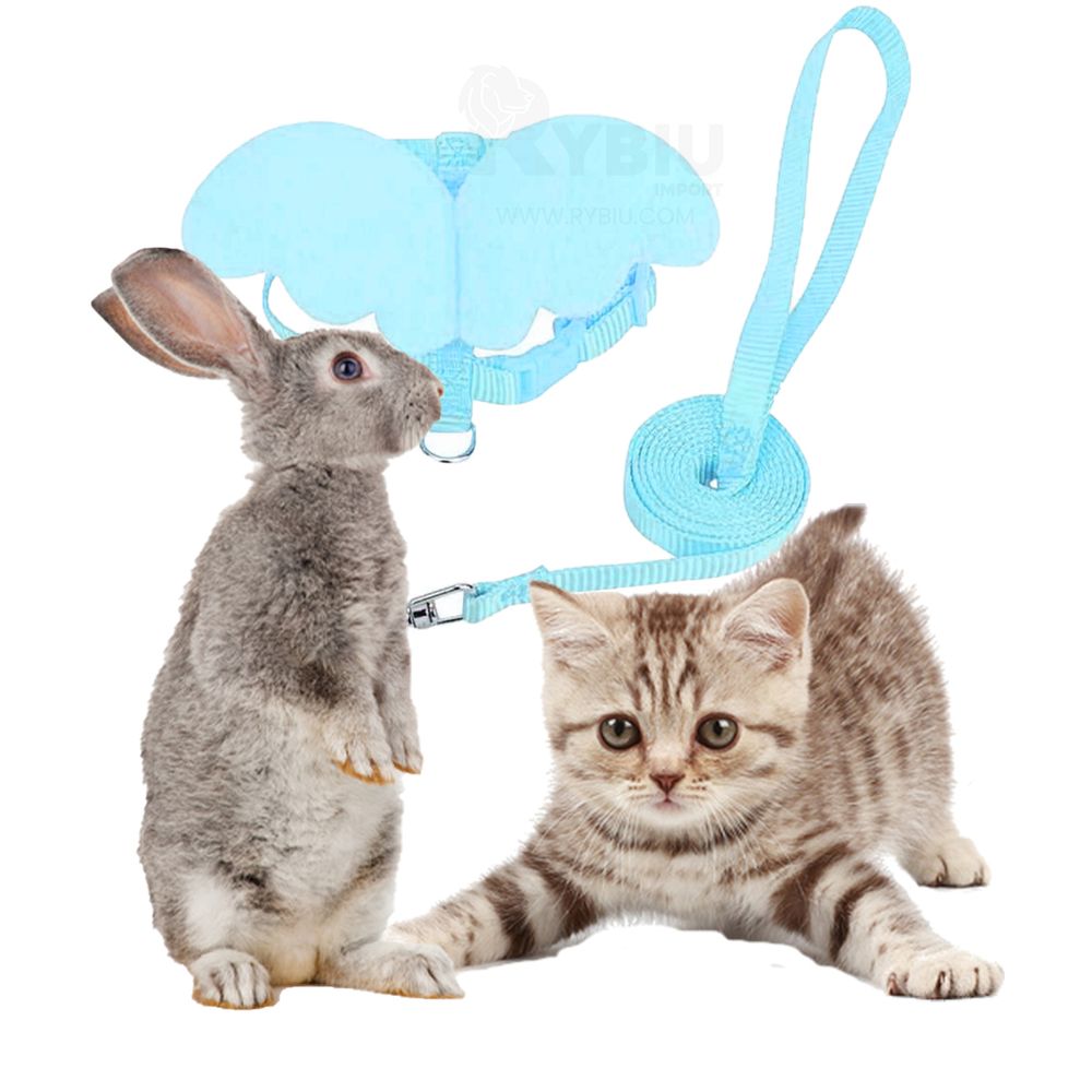 imageUrl_2 imageUrl_2