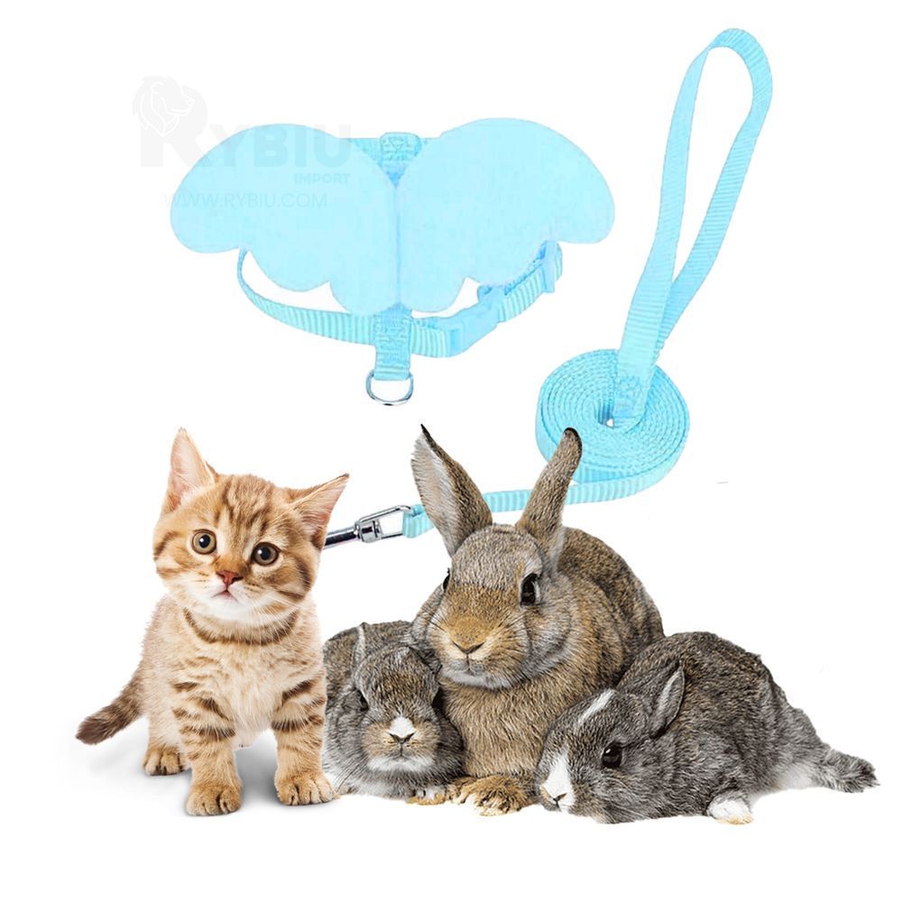 imageUrl_2 imageUrl_2