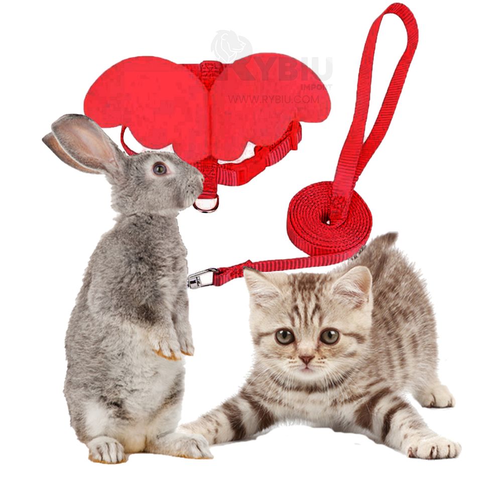 imageUrl_2 imageUrl_2