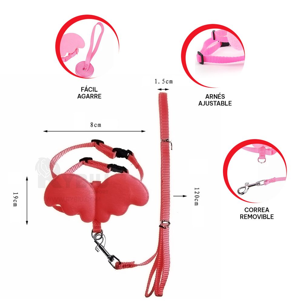 imageUrl_2 imageUrl_2