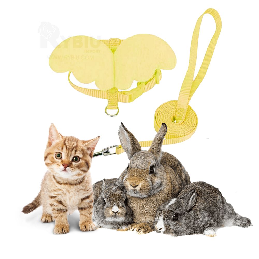 imageUrl_2 imageUrl_2