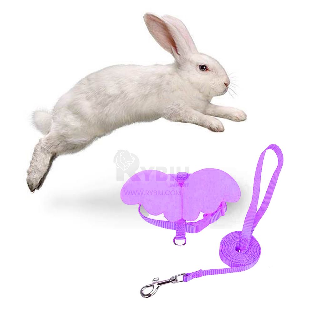 imageUrl_2 imageUrl_2