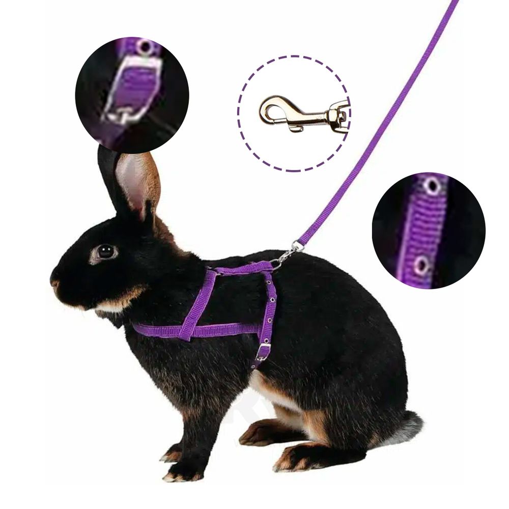 imageUrl_2 imageUrl_2