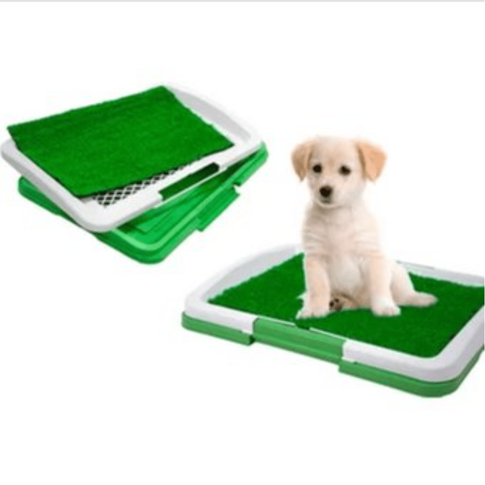 imageUrl_1 imageUrl_1