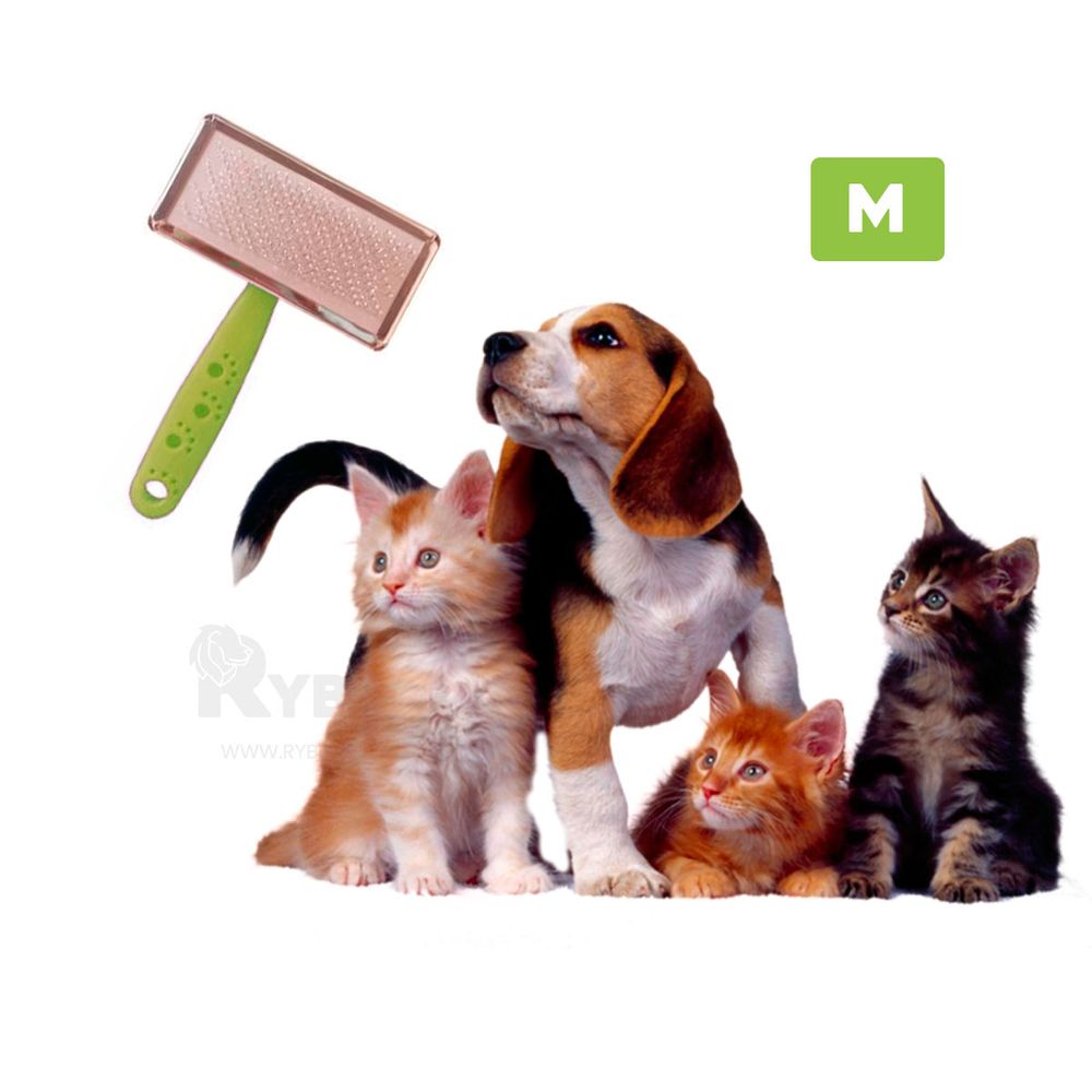 imageUrl_2 imageUrl_2