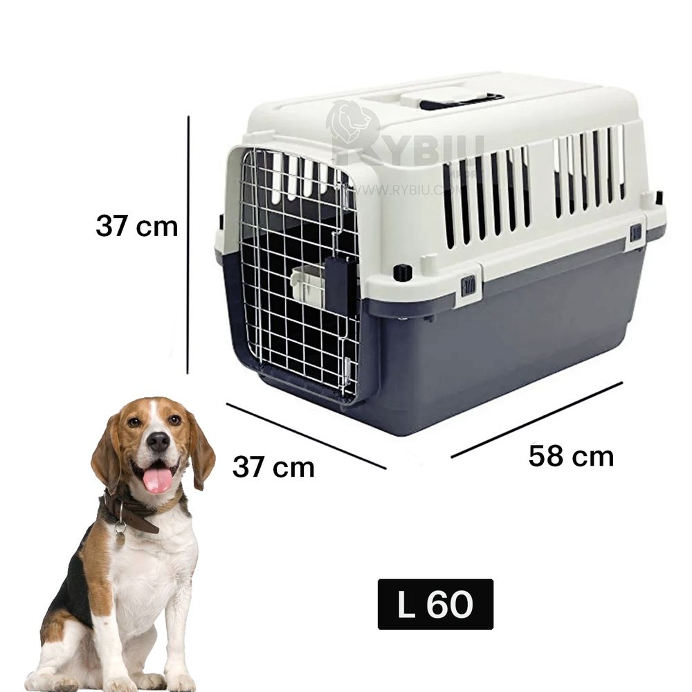 imageUrl_2 imageUrl_2