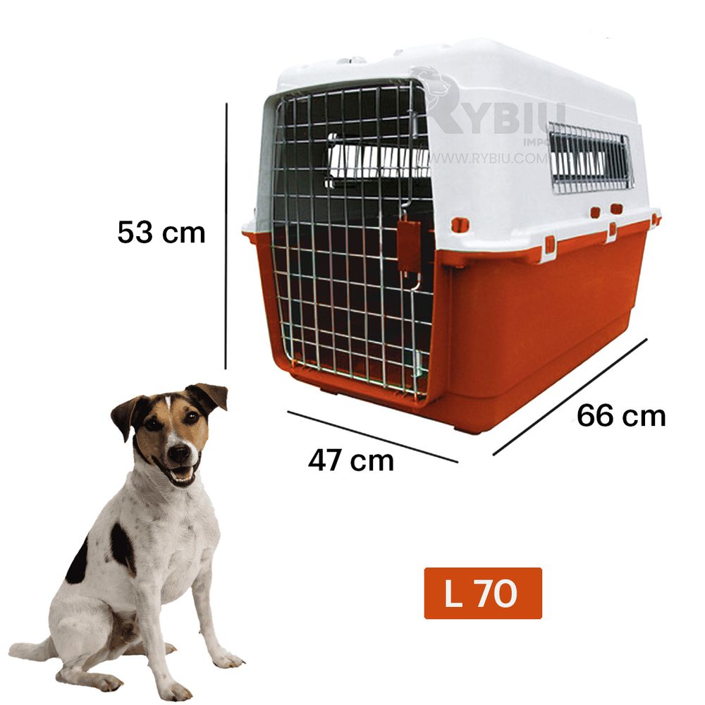 imageUrl_2 imageUrl_2