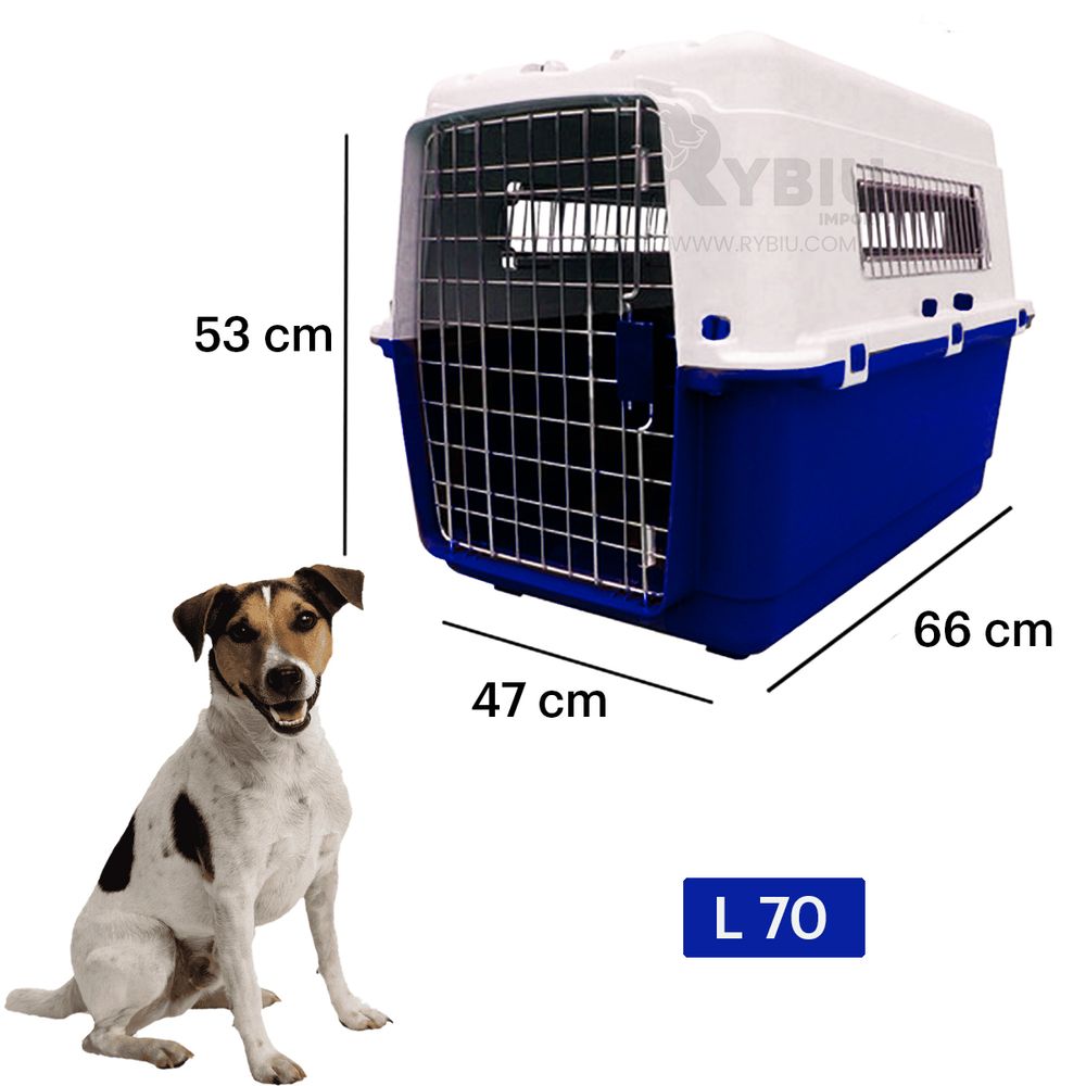 imageUrl_2 imageUrl_2