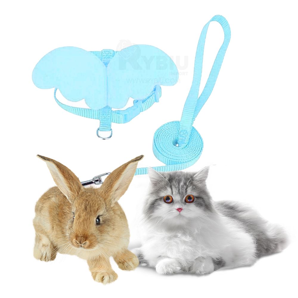 imageUrl_2 imageUrl_2