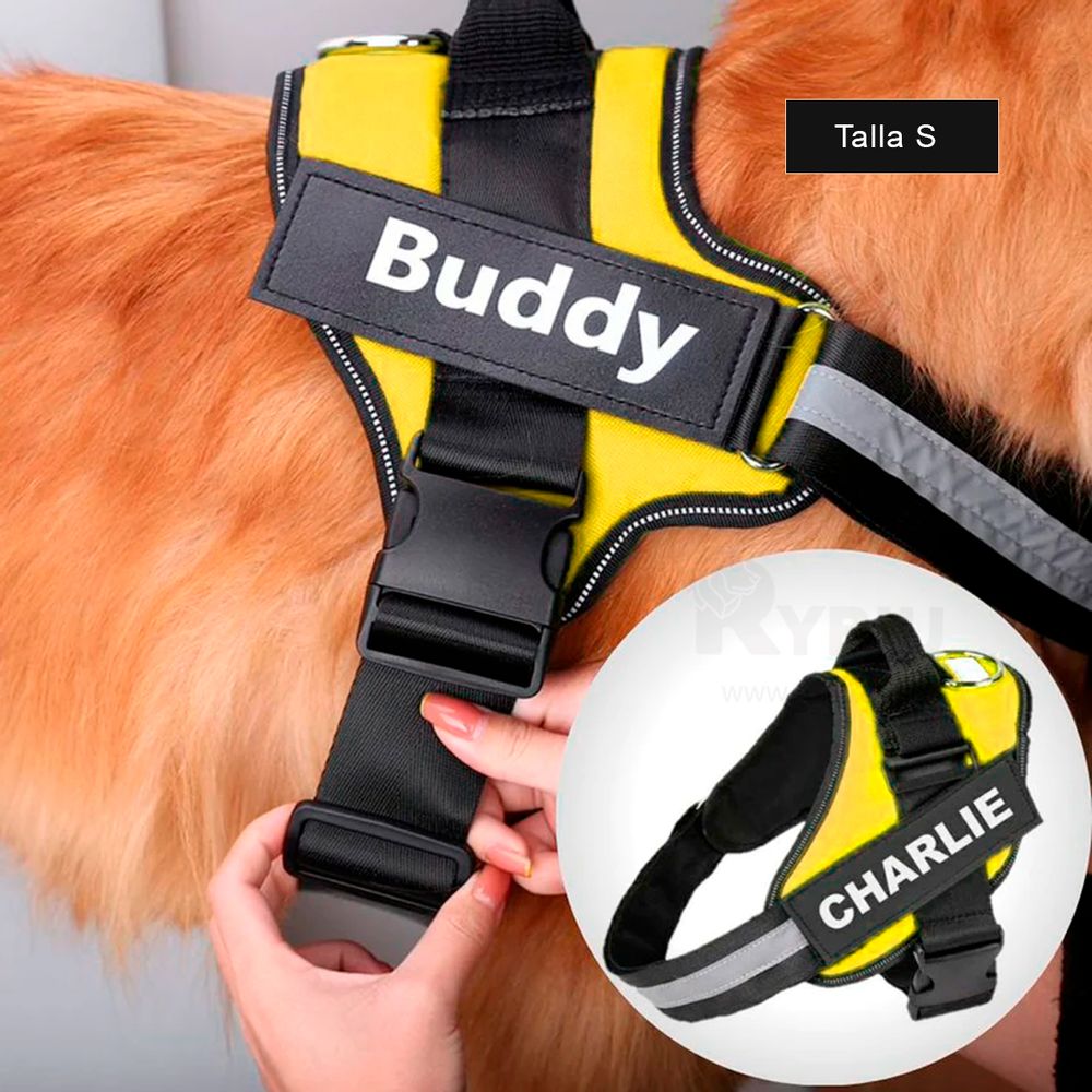 imageUrl_2 imageUrl_2