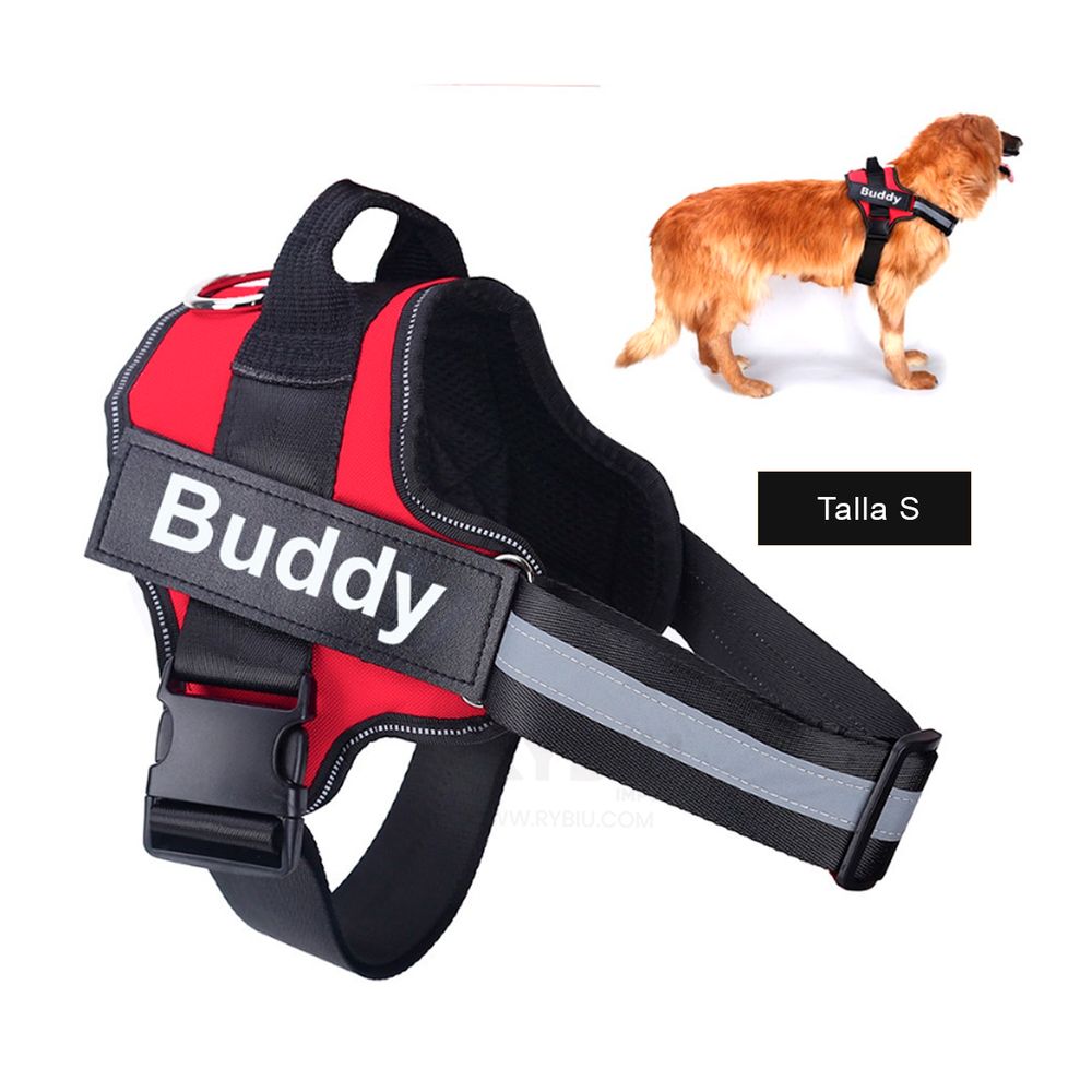 imageUrl_2 imageUrl_2